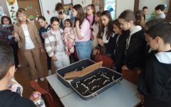 IMG_20261001_105530